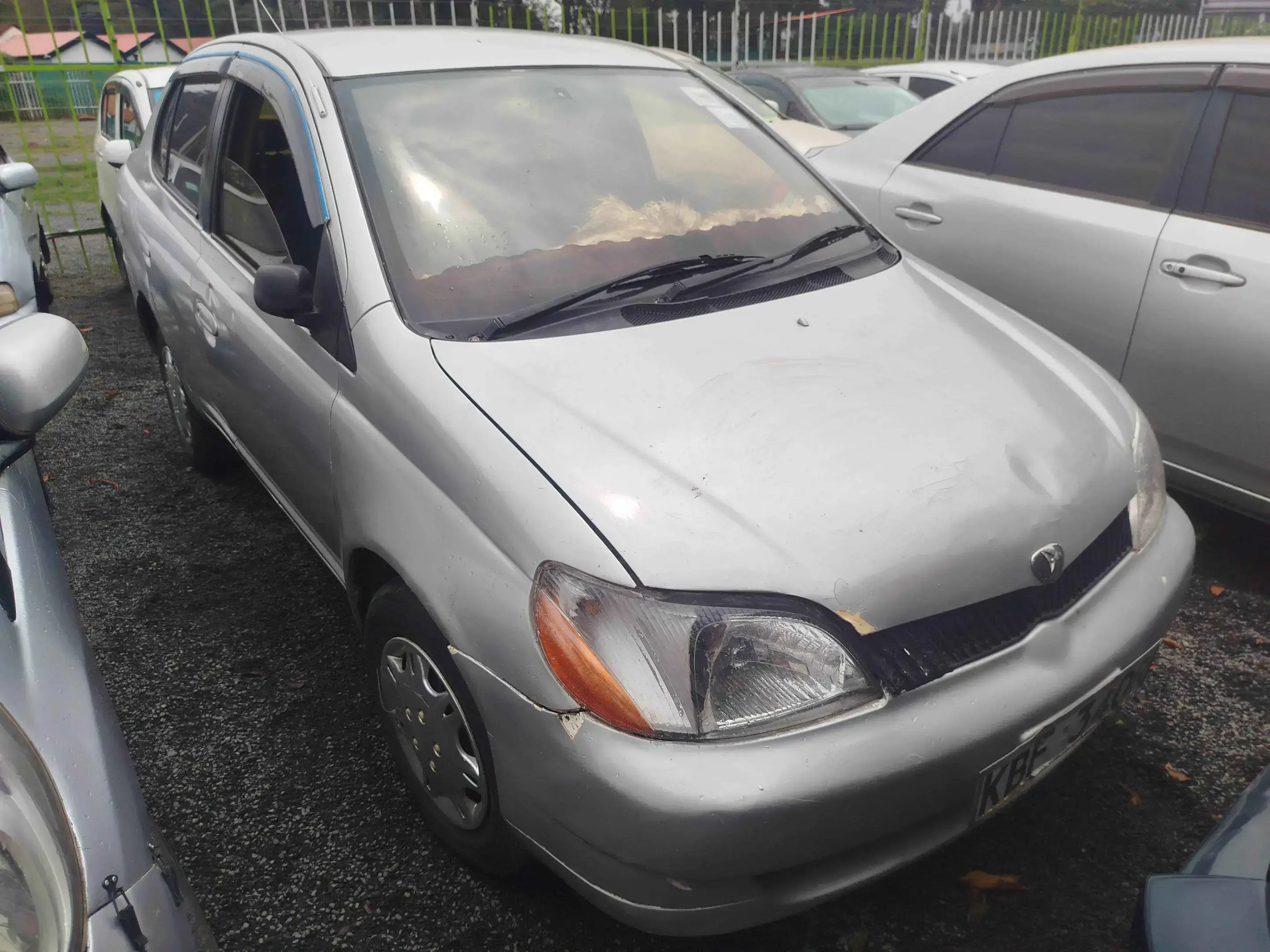 Toyota Platz