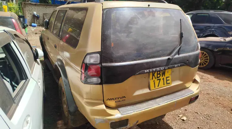 Mitsubishi Nativa