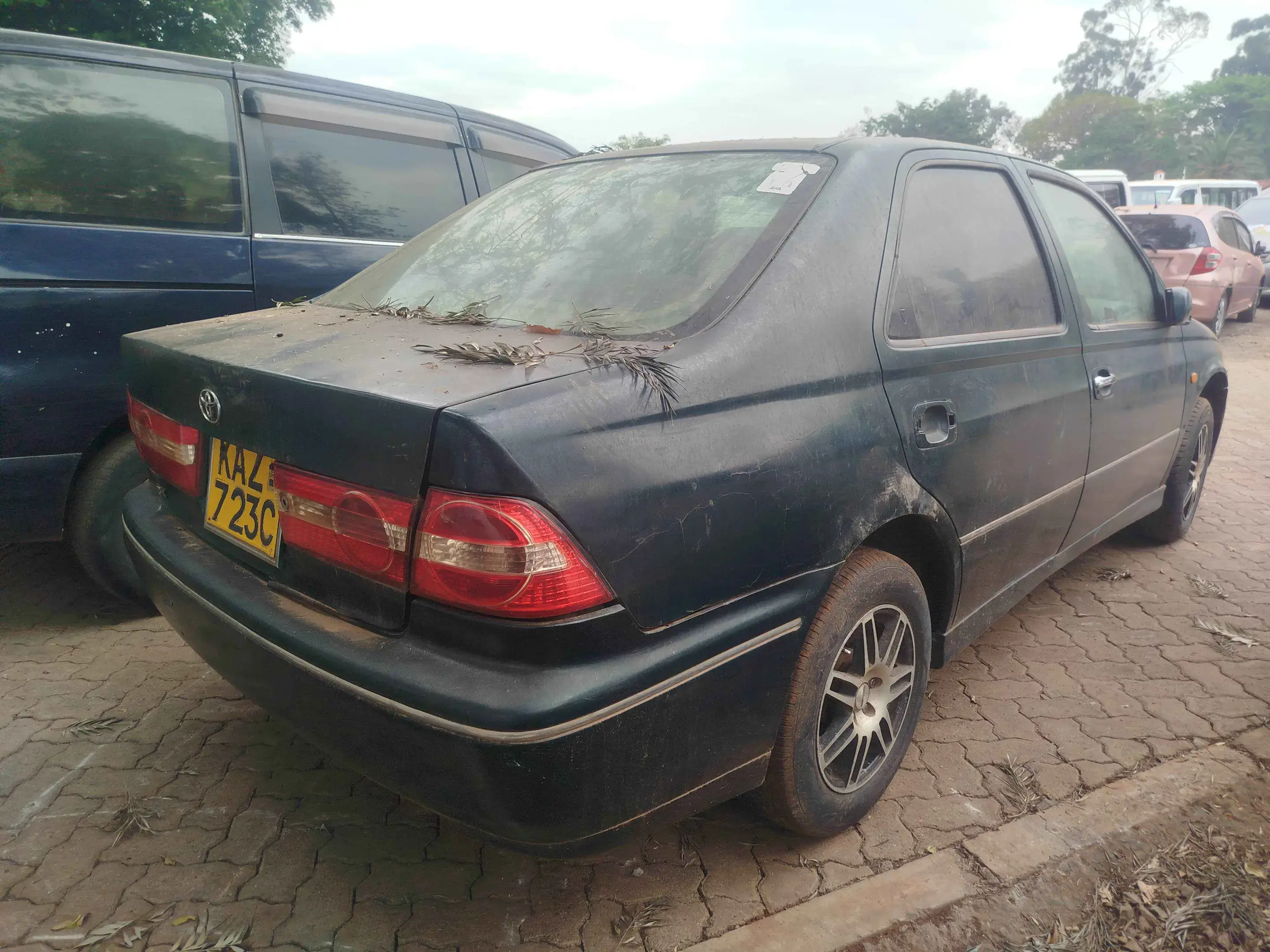 Toyota Vista