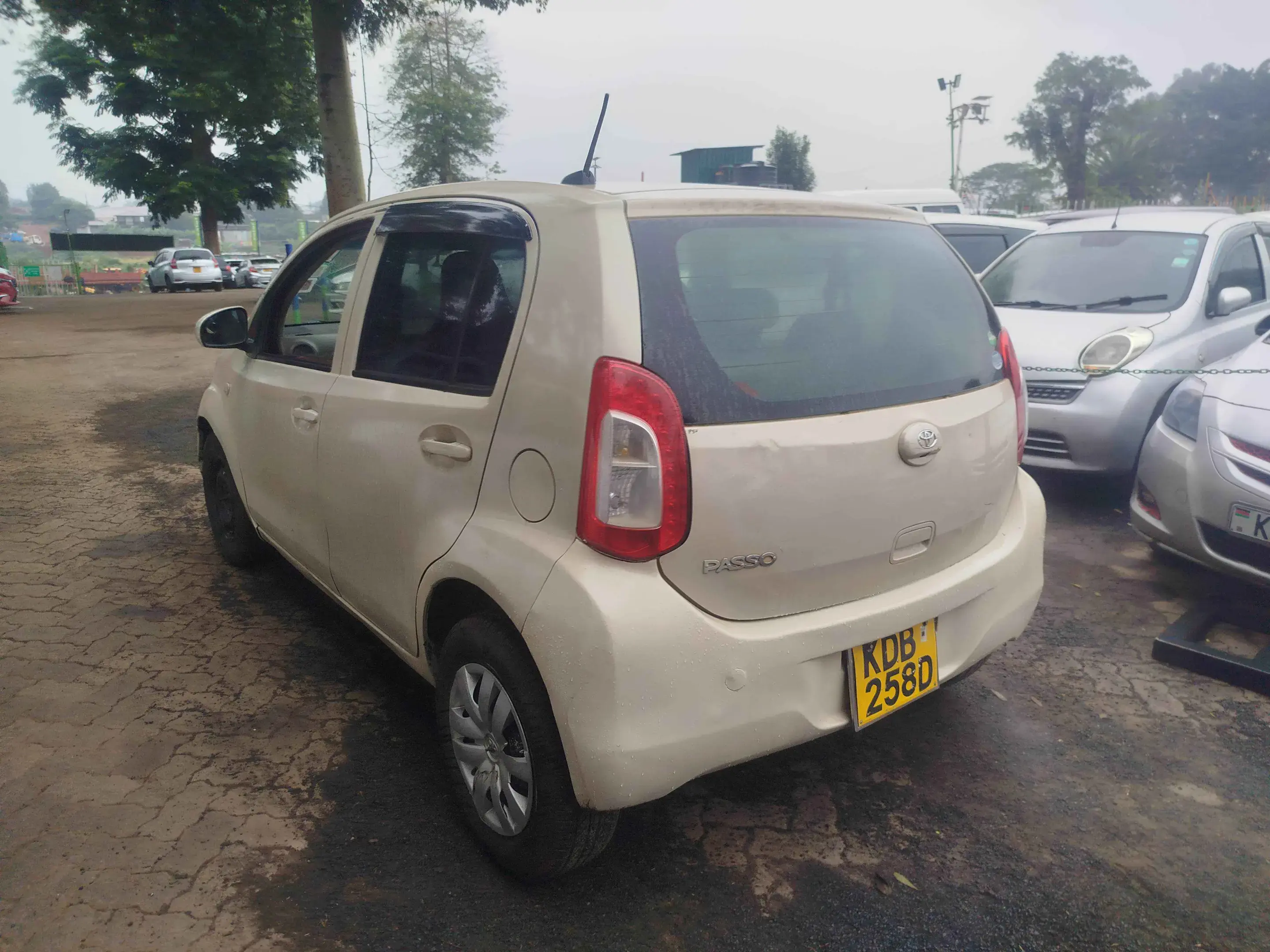 Toyota Passo