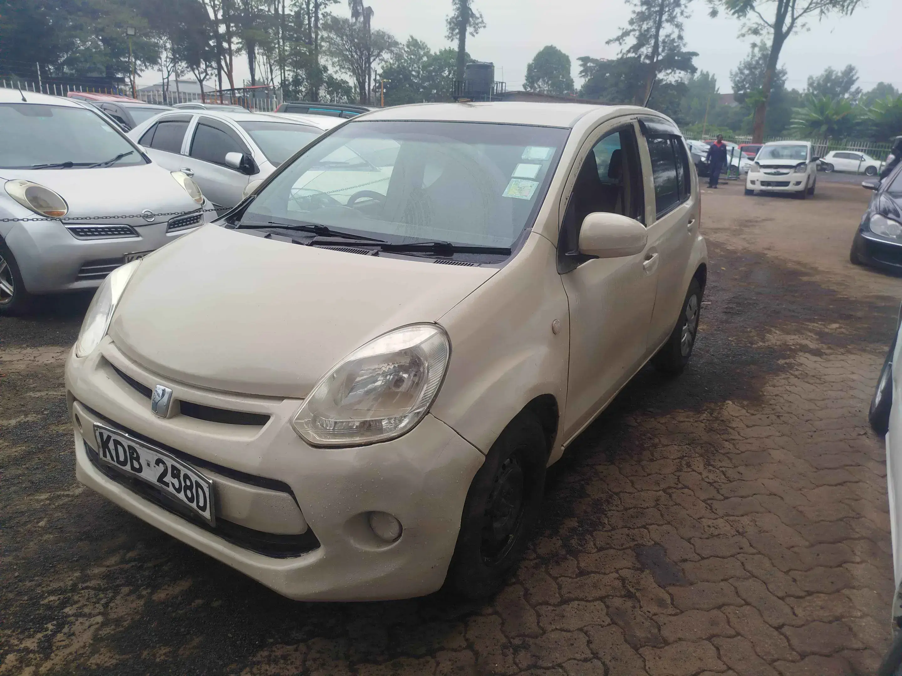 Toyota Passo
