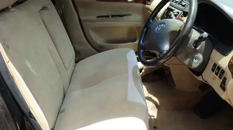 Toyota Ipsum