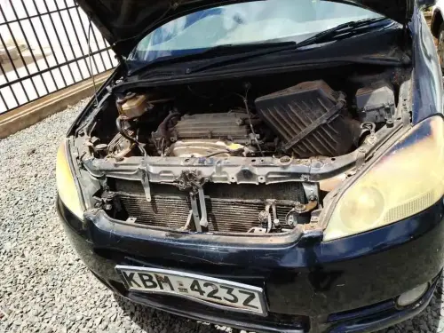 Toyota Ipsum