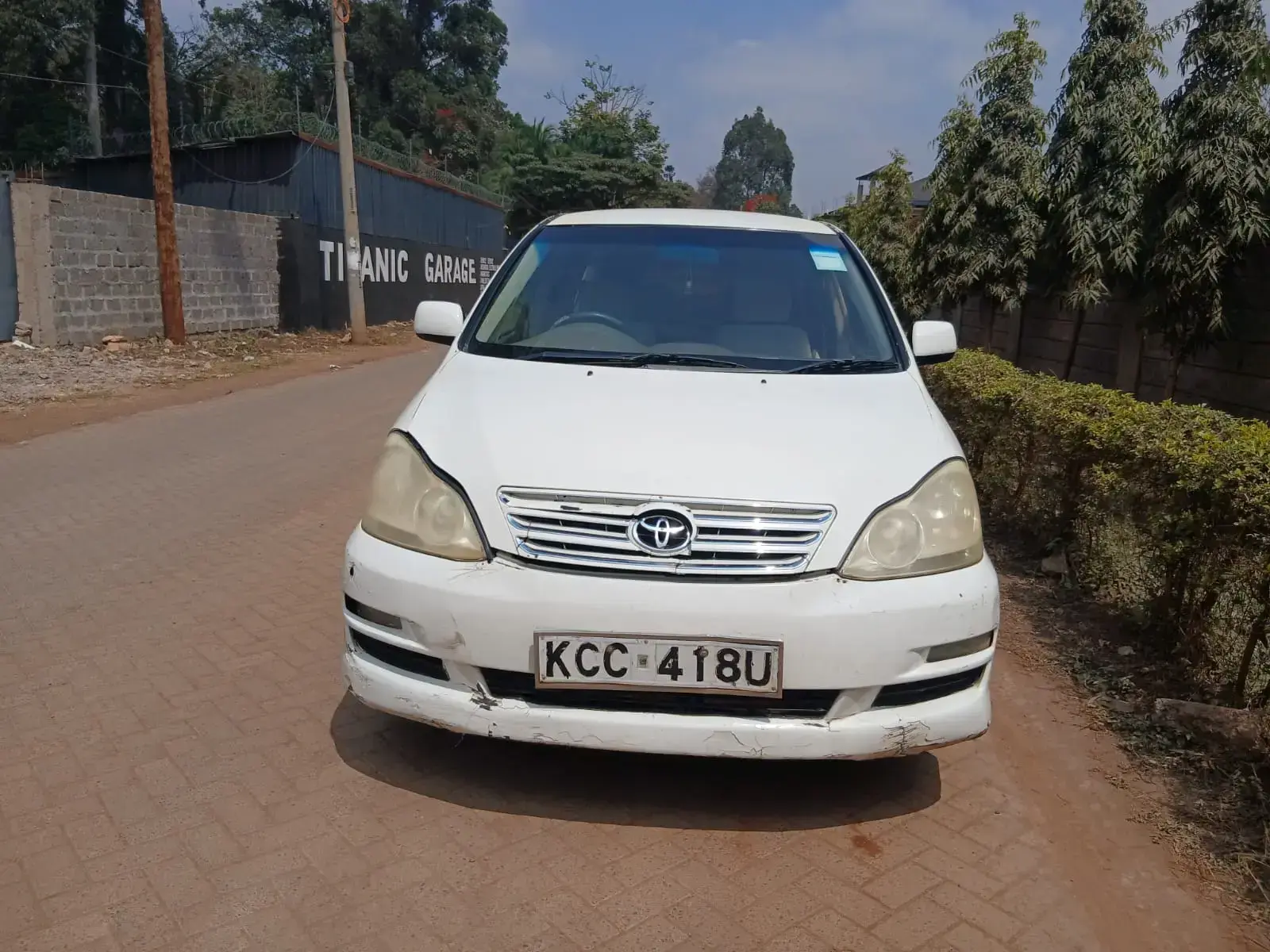 Toyota Ipsum